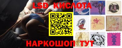 гидра Рязань