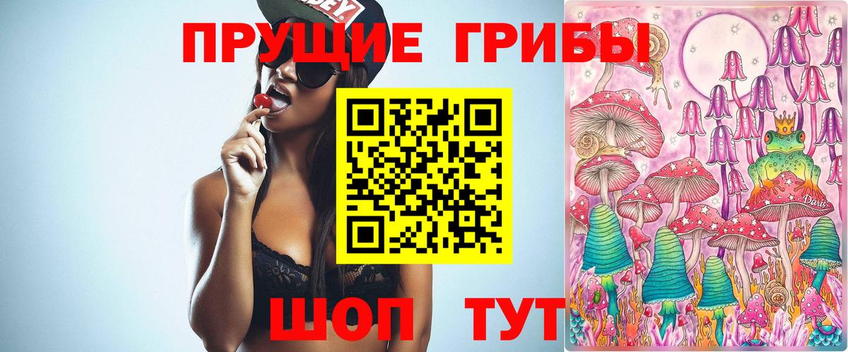 Псилоцибиновые грибы Psilocybe Обнинск