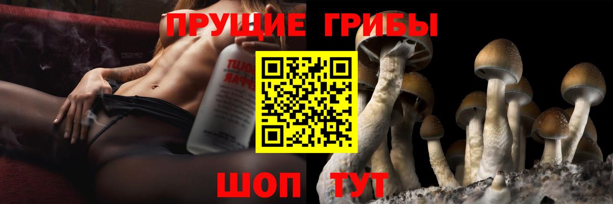 Псилоцибиновые грибы Cubensis  Вход с VPN  Обнинск 